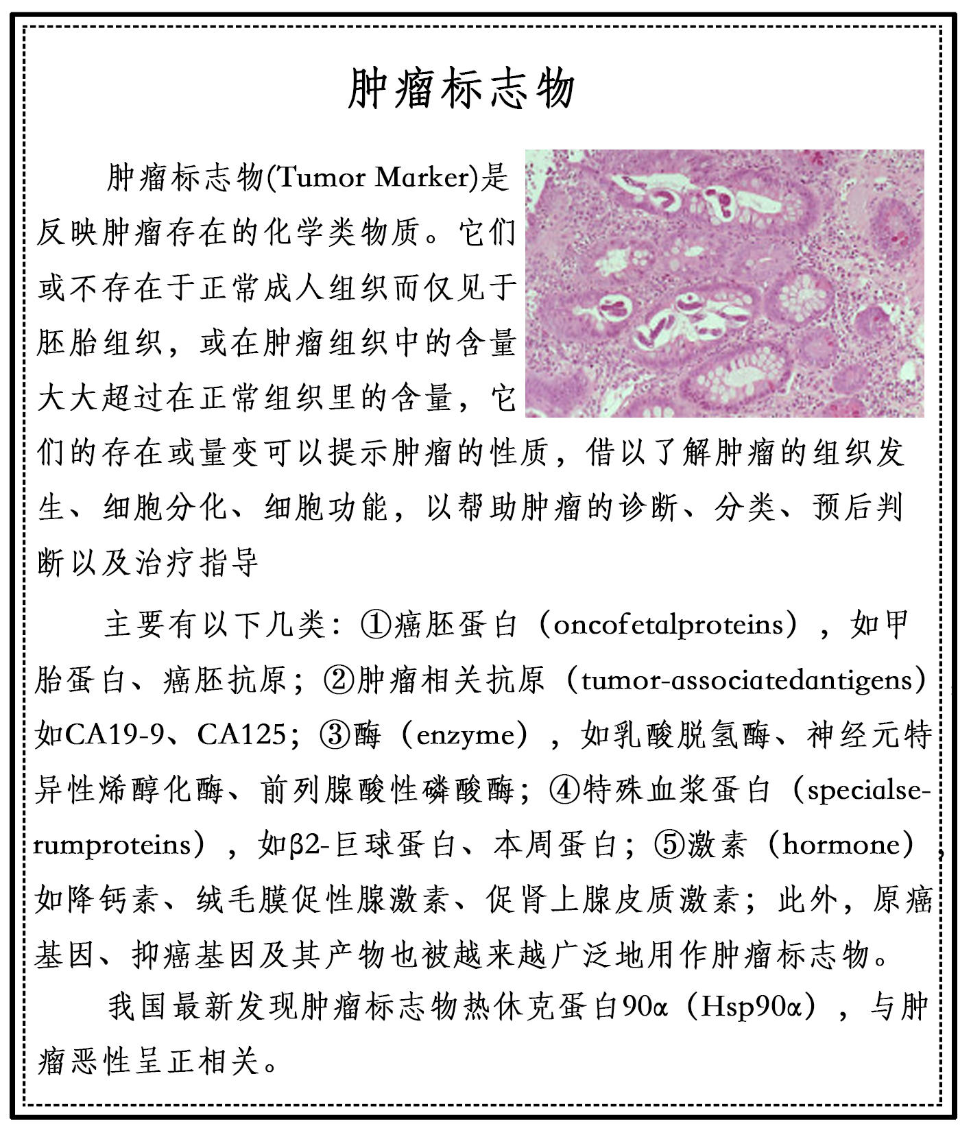 HL0501肿瘤标志物.png