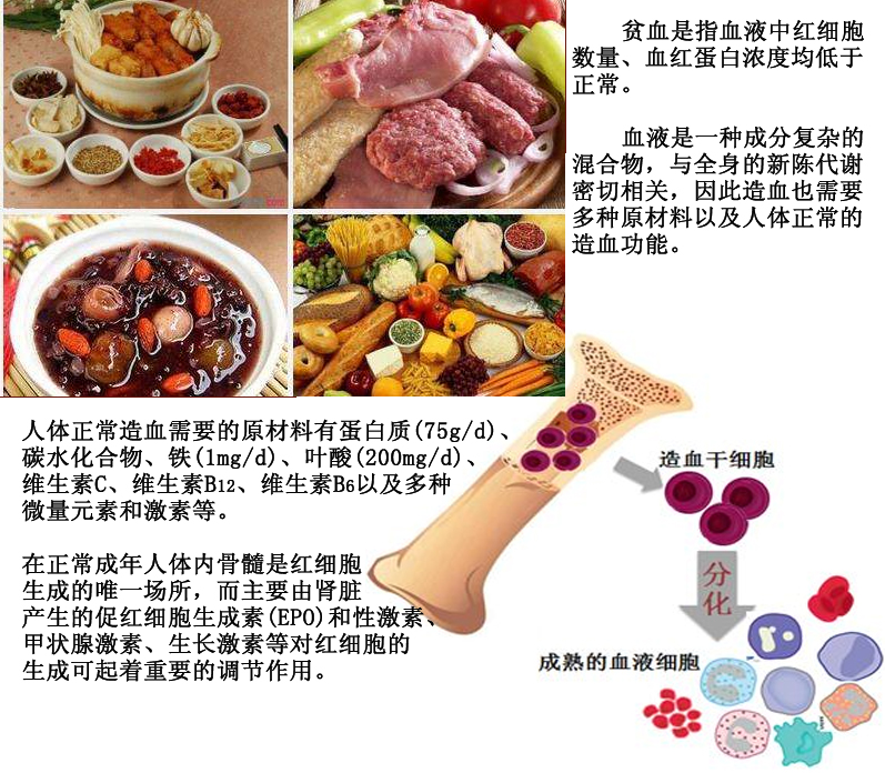 0301贫血.jpg