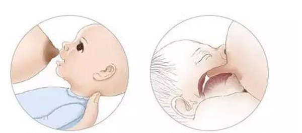 正确的哺乳方法1.png