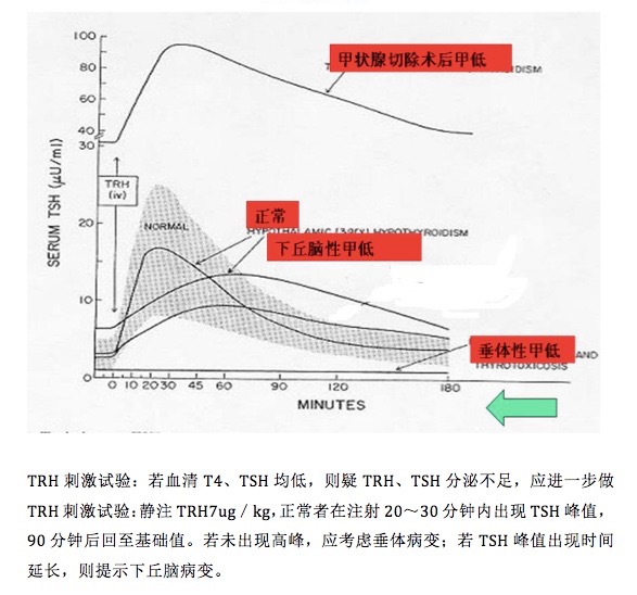 HL1401 TRH刺激试验.png